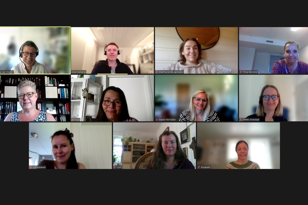 skjermdump av zoom videomøte som viser alle deltakere