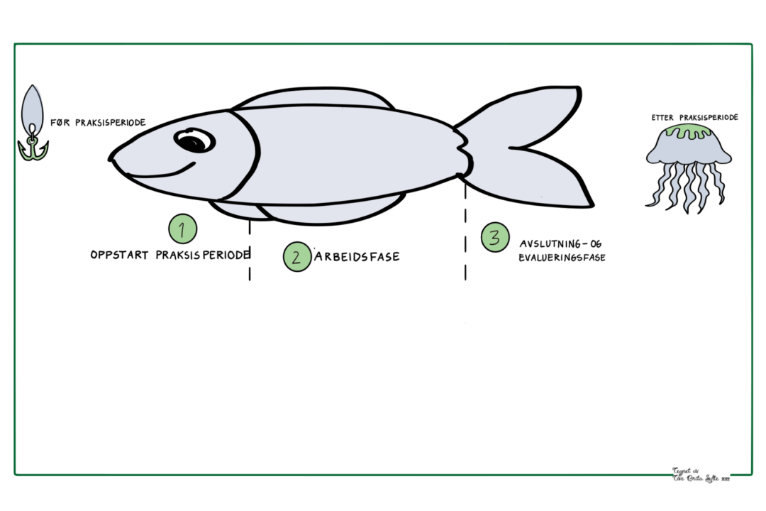En fisk illustrert som en praksisperiode